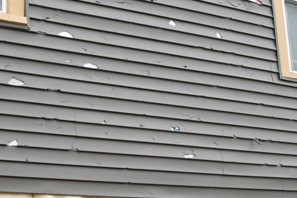 Best Steel Siding Installation  in Lincoln Park, NJ