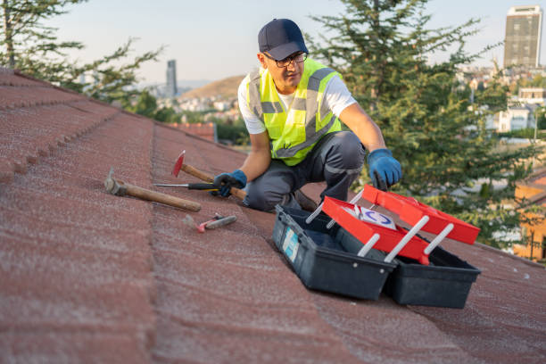 Best Storm Damage Siding Repair  in Lincoln Park, NJ